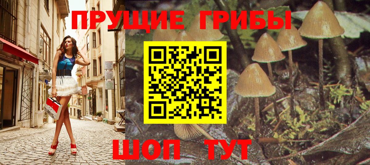 Псилоцибиновые грибы мицелий Зеленокумск