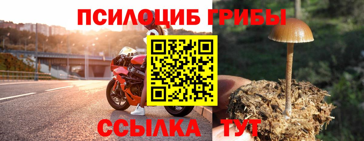 Псилоцибиновые грибы мухоморы  Вход с VPN  Зеленокумск 